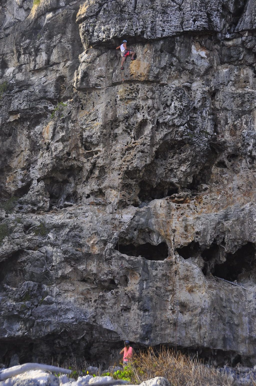 Climbing Cayman Brac - David - Cayman Brac Climbing - Rock Iguana Ltd ...